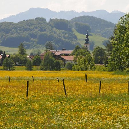 Ferienwohnungen Im Alpengaestehaus Marzoll - Bad Reichenhall Eksteriør billede