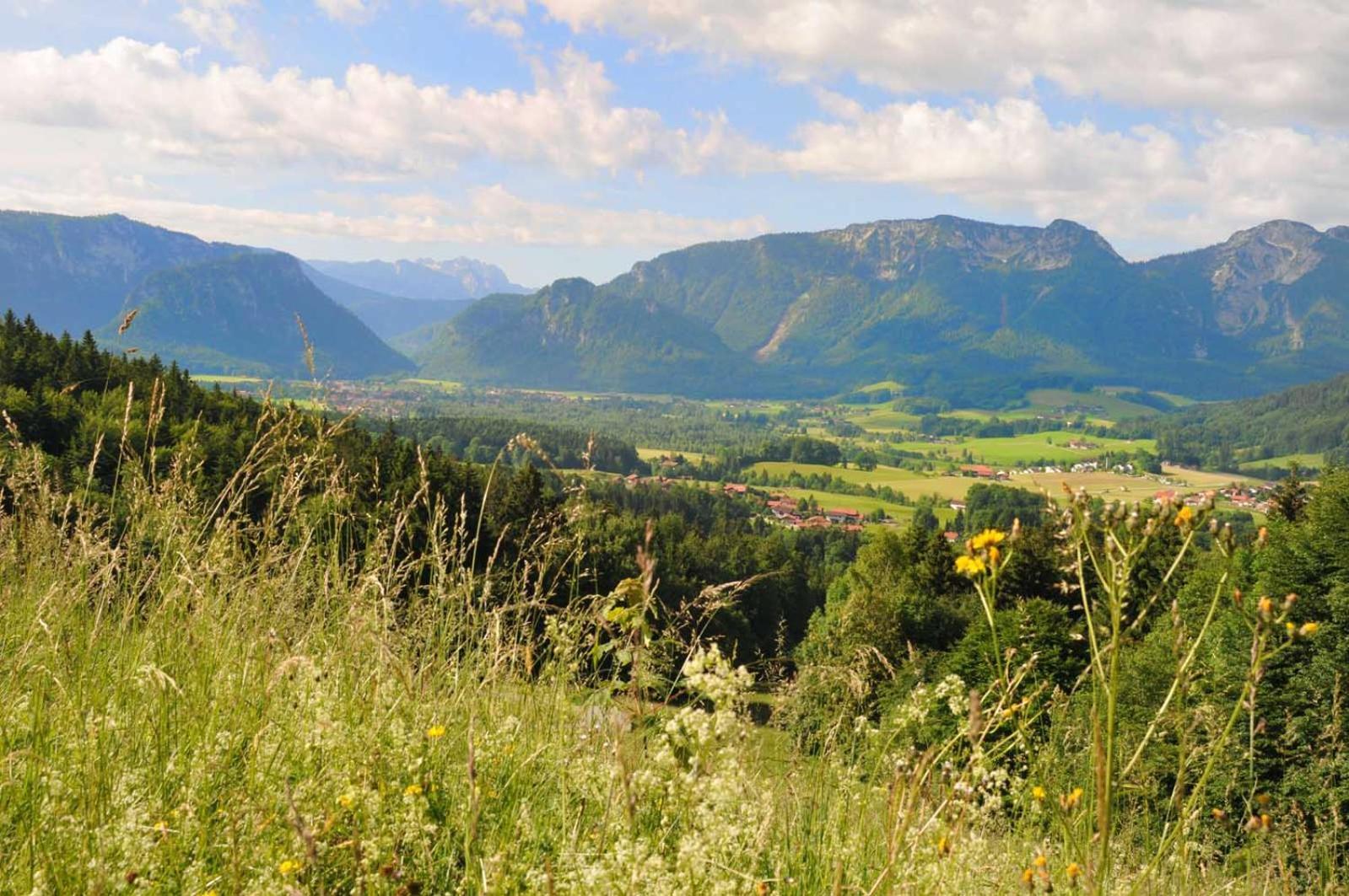 Ferienwohnungen Im Alpengaestehaus Marzoll - Bad Reichenhall Eksteriør billede