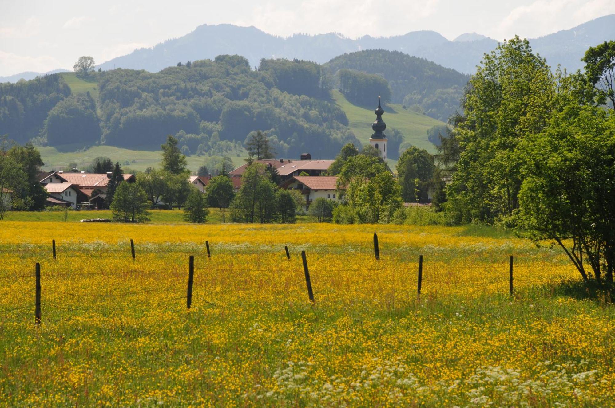 Ferienwohnungen Im Alpengaestehaus Marzoll - Bad Reichenhall Eksteriør billede